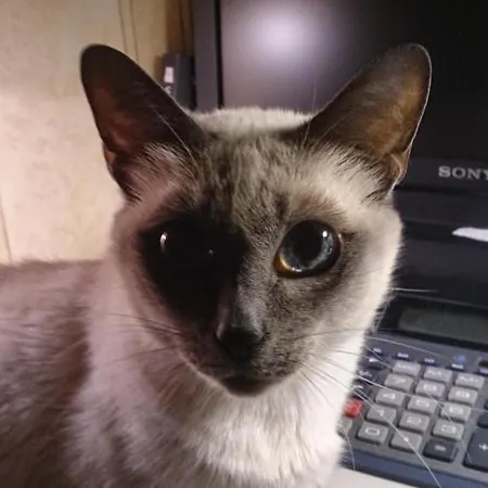 Babka Wiezowiec 3* Βαρσοβία